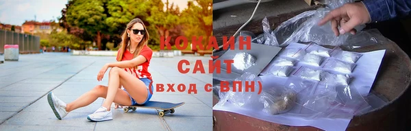 стаф Абинск
