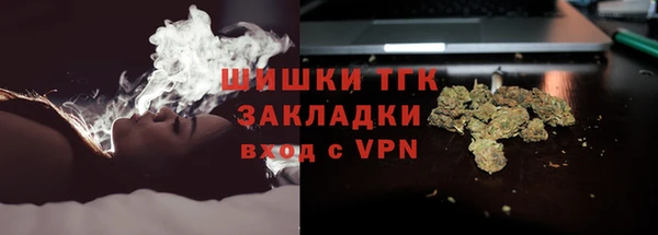 стаф Абинск