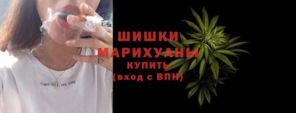 гидра Абаза