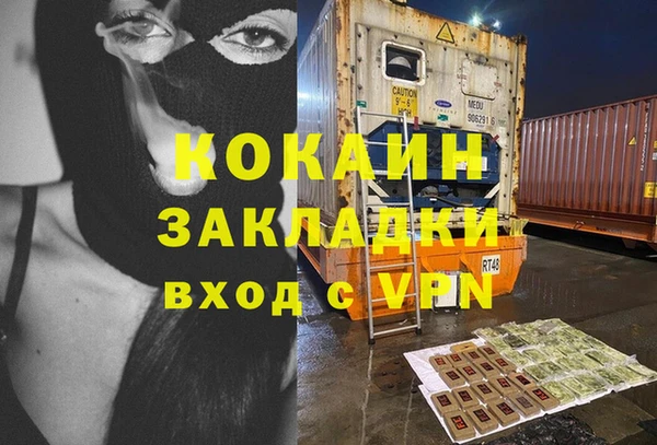 гидра Абаза