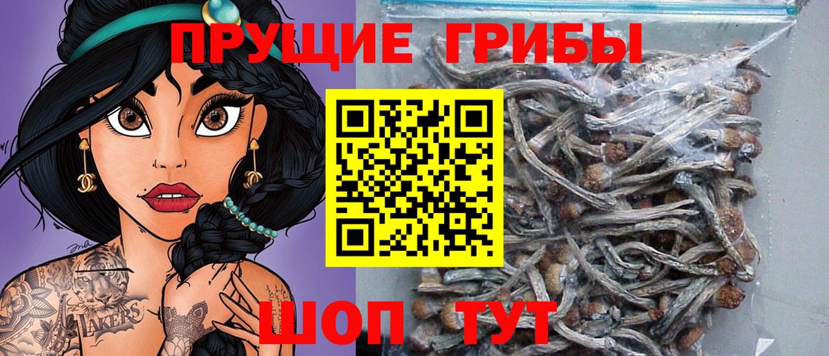 Галлюциногенные грибы Magic Shrooms  Вход с VPN  Галлюциногенные грибы GOLDEN TEACHER  Ангарск 